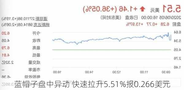 蓝帽子盘中异动 快速拉升5.51%报0.266美元