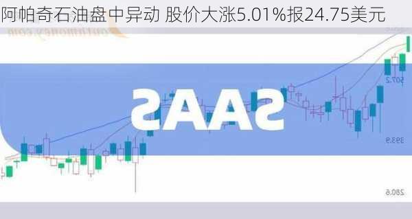 阿帕奇石油盘中异动 股价大涨5.01%报24.75美元