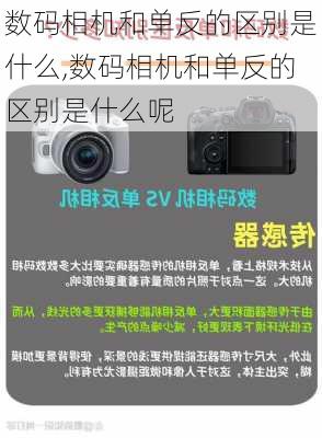 数码相机和单反的区别是什么,数码相机和单反的区别是什么呢