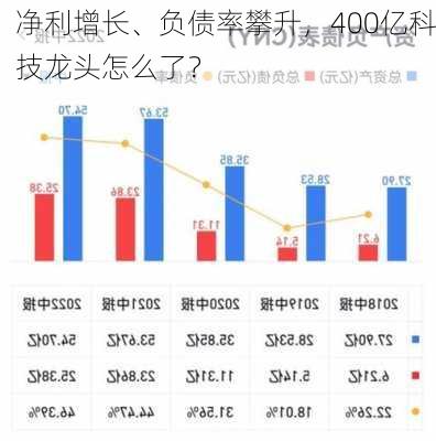 净利增长、负债率攀升，400亿科技龙头怎么了？