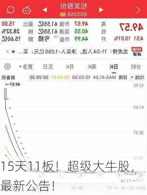 15天11板！超级大牛股，最新公告！