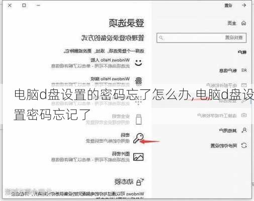 电脑d盘设置的密码忘了怎么办,电脑d盘设置密码忘记了