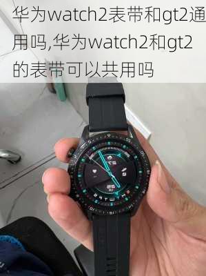 华为watch2表带和gt2通用吗,华为watch2和gt2的表带可以共用吗