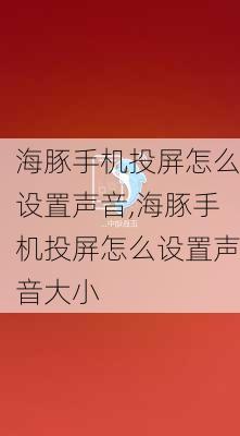 海豚手机投屏怎么设置声音,海豚手机投屏怎么设置声音大小