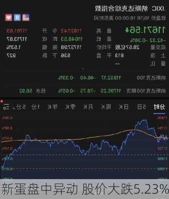 新蛋盘中异动 股价大跌5.23%