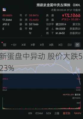 新蛋盘中异动 股价大跌5.23%