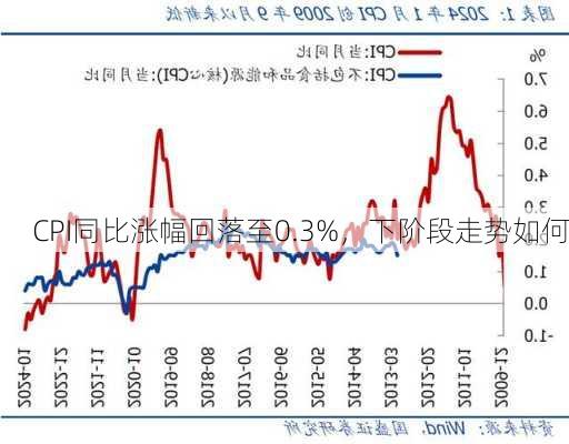 CPI同比涨幅回落至0.3%，下阶段走势如何