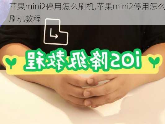 苹果mini2停用怎么刷机,苹果mini2停用怎么刷机教程