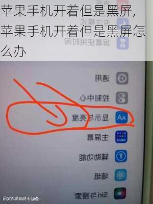 苹果手机开着但是黑屏,苹果手机开着但是黑屏怎么办