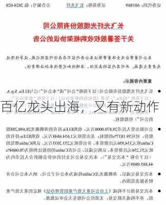 百亿龙头出海，又有新动作