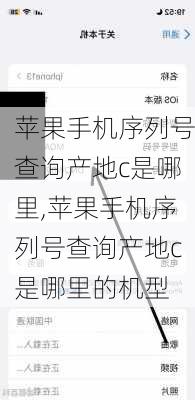 苹果手机序列号查询产地c是哪里,苹果手机序列号查询产地c是哪里的机型