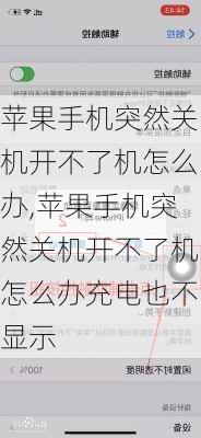 苹果手机突然关机开不了机怎么办,苹果手机突然关机开不了机怎么办充电也不显示