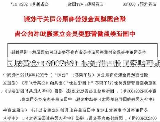 园城黄金（600766）被处罚，股民索赔可期