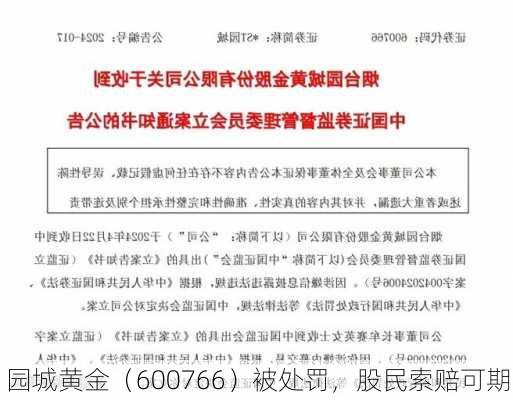 园城黄金（600766）被处罚，股民索赔可期