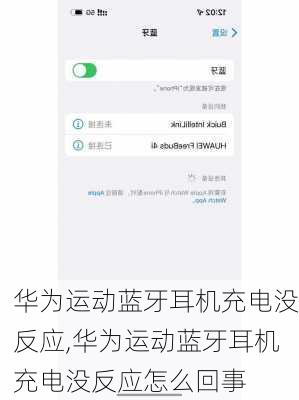 华为运动蓝牙耳机充电没反应,华为运动蓝牙耳机充电没反应怎么回事