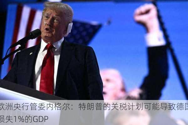 欧洲央行管委内格尔：特朗普的关税计划可能导致德国损失1%的GDP