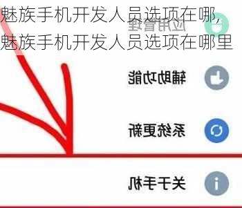 魅族手机开发人员选项在哪,魅族手机开发人员选项在哪里