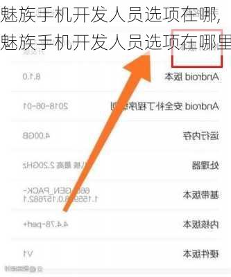魅族手机开发人员选项在哪,魅族手机开发人员选项在哪里