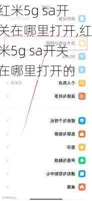 红米5g sa开关在哪里打开,红米5g sa开关在哪里打开的