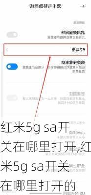 红米5g sa开关在哪里打开,红米5g sa开关在哪里打开的