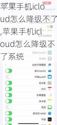 苹果手机icloud怎么降级不了,苹果手机icloud怎么降级不了系统