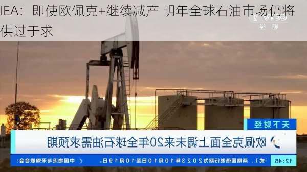 IEA：即使欧佩克+继续减产 明年全球石油市场仍将供过于求