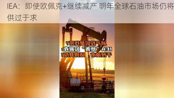 IEA：即使欧佩克+继续减产 明年全球石油市场仍将供过于求