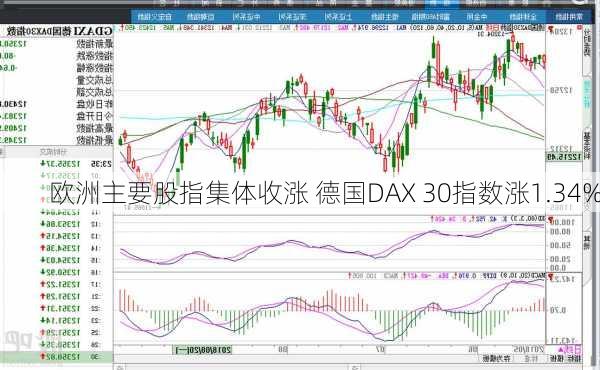 欧洲主要股指集体收涨 德国DAX 30指数涨1.34%