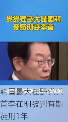 韩国最大在野党党首李在明被判有期徒刑1年