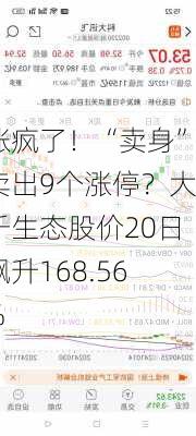 涨疯了！“卖身”卖出9个涨停？大千生态股价20日飙升168.56%