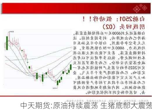 中天期货:原油持续震荡 生猪底部大震荡