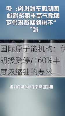 国际原子能机构：伊朗接受停产60%丰度浓缩铀的要求