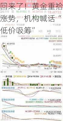 回来了！黄金重拾涨势，机构喊话“低价吸筹”