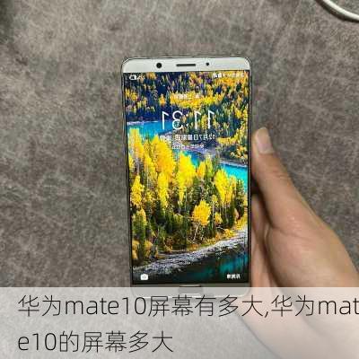 华为mate10屏幕有多大,华为mate10的屏幕多大