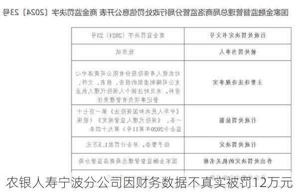 农银人寿宁波分公司因财务数据不真实被罚12万元