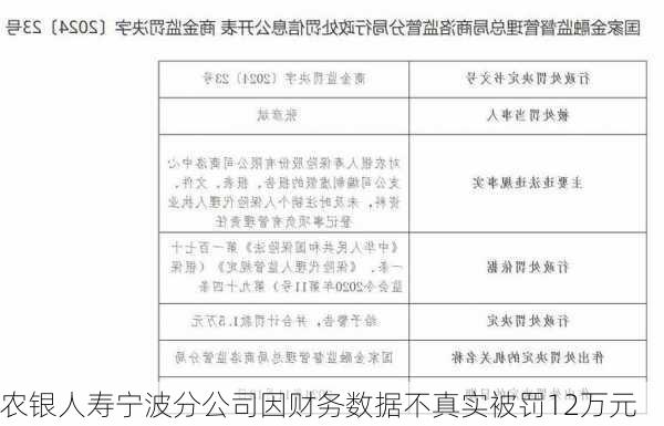 农银人寿宁波分公司因财务数据不真实被罚12万元