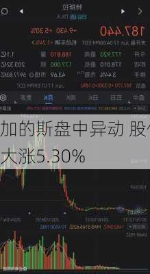 加的斯盘中异动 股价大涨5.30%