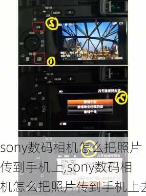 sony数码相机怎么把照片传到手机上,sony数码相机怎么把照片传到手机上去