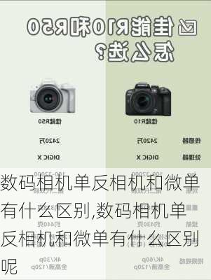 数码相机单反相机和微单有什么区别,数码相机单反相机和微单有什么区别呢