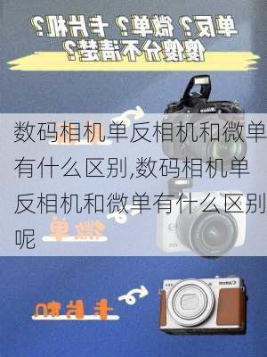 数码相机单反相机和微单有什么区别,数码相机单反相机和微单有什么区别呢