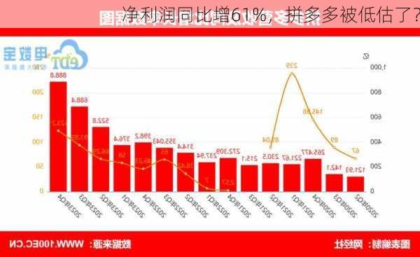 净利润同比增61%，拼多多被低估了？