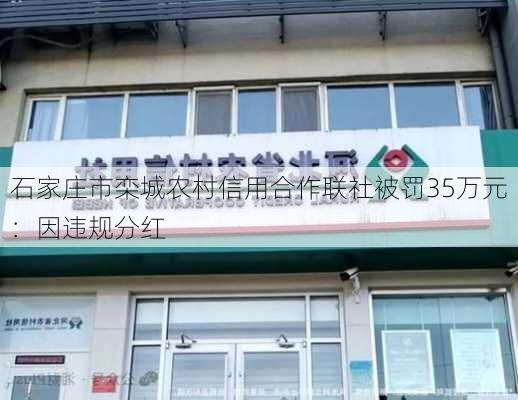 石家庄市栾城农村信用合作联社被罚35万元：因违规分红