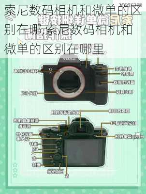 索尼数码相机和微单的区别在哪,索尼数码相机和微单的区别在哪里