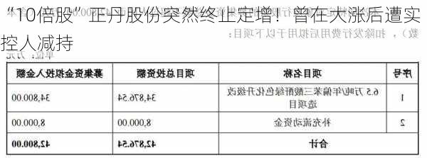 “10倍股”正丹股份突然终止定增！曾在大涨后遭实控人减持