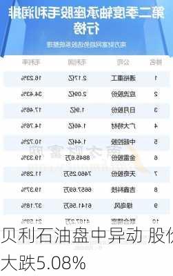 贝利石油盘中异动 股价大跌5.08%