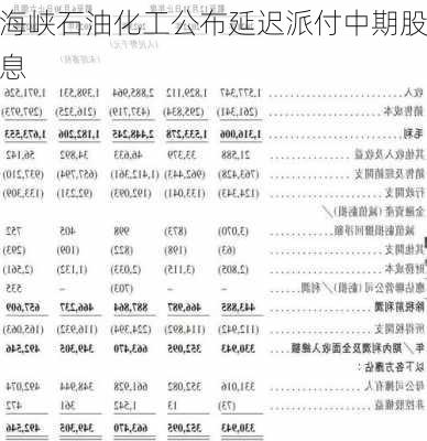 海峡石油化工公布延迟派付中期股息