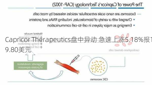 Capricor Therapeutics盘中异动 急速上涨5.18%报19.80美元