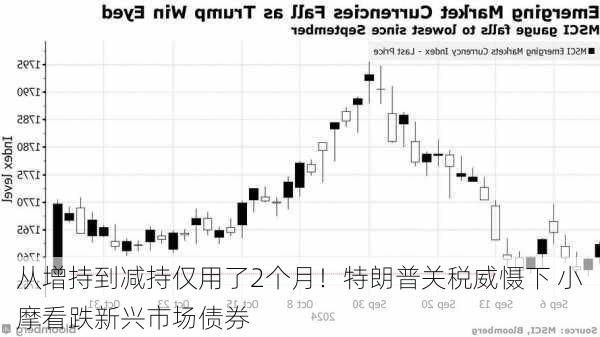 从增持到减持仅用了2个月！特朗普关税威慑下 小摩看跌新兴市场债券