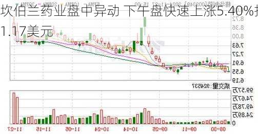 坎伯兰药业盘中异动 下午盘快速上涨5.40%报1.17美元