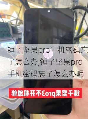 锤子坚果pro手机密码忘了怎么办,锤子坚果pro手机密码忘了怎么办呢